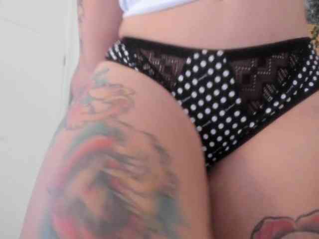 talimajesty webcam
