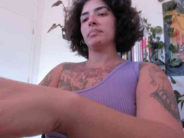 talimajesty webcam