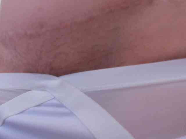 talimajesty webcam