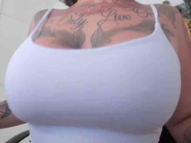 talimajesty webcam