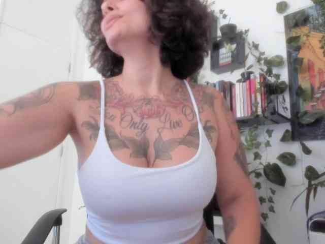 talimajesty webcam