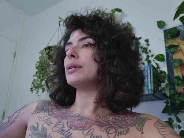talimajesty webcam
