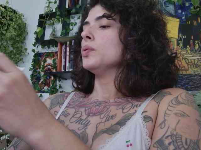 talimajesty webcam