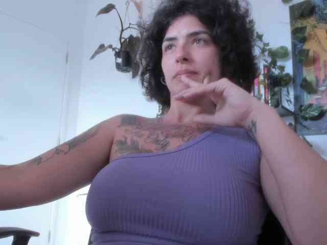 talimajesty webcam