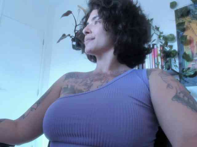talimajesty webcam