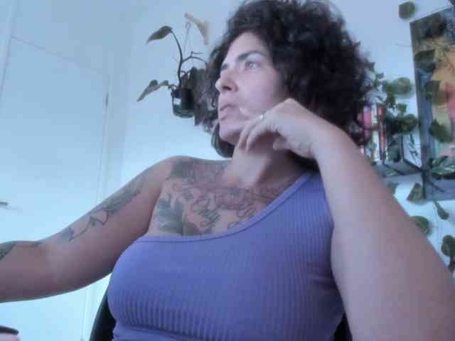 talimajesty webcam