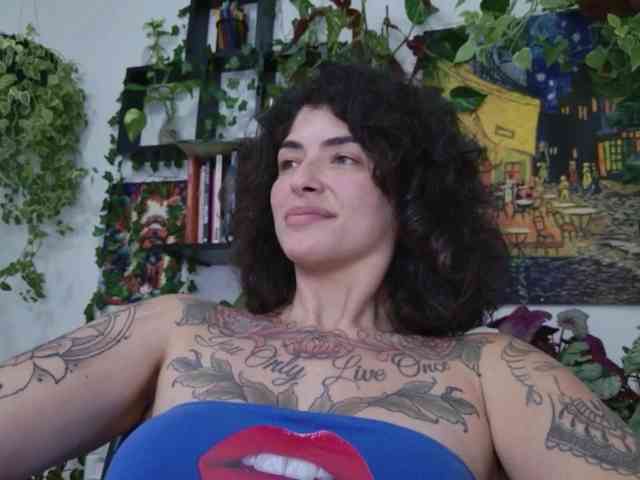 talimajesty webcam