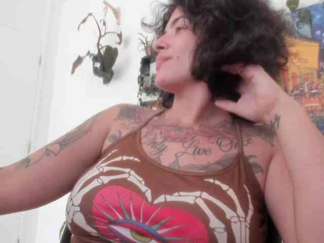 talimajesty webcam