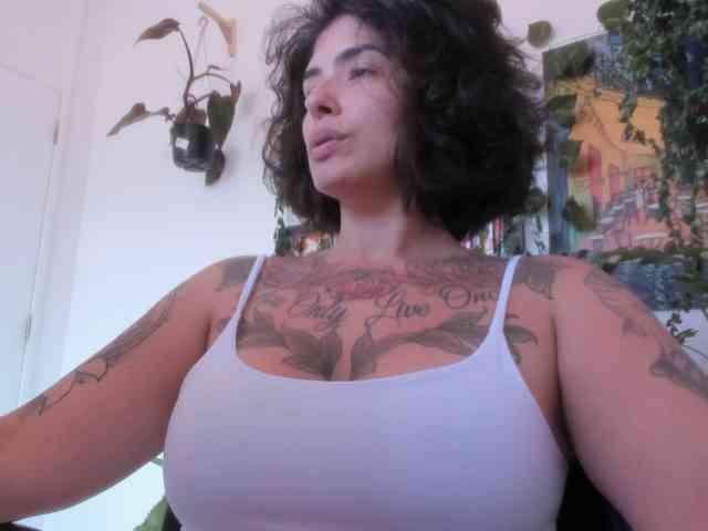 talimajesty webcam