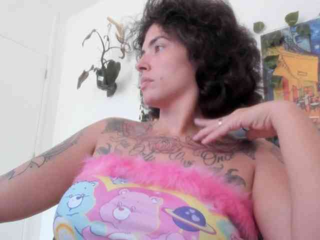 talimajesty webcam