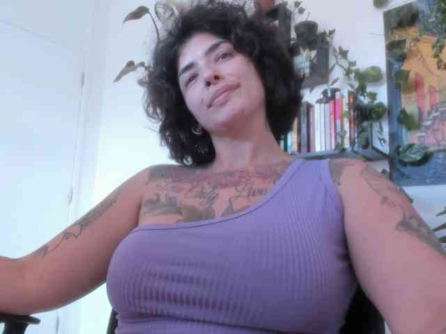 talimajesty webcam