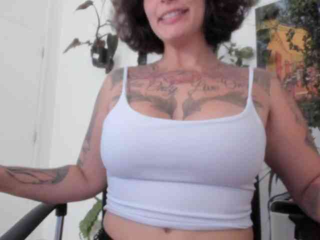 talimajesty webcam