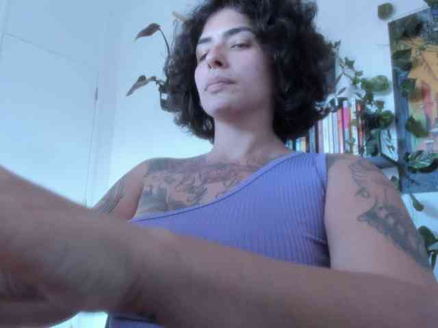 talimajesty webcam