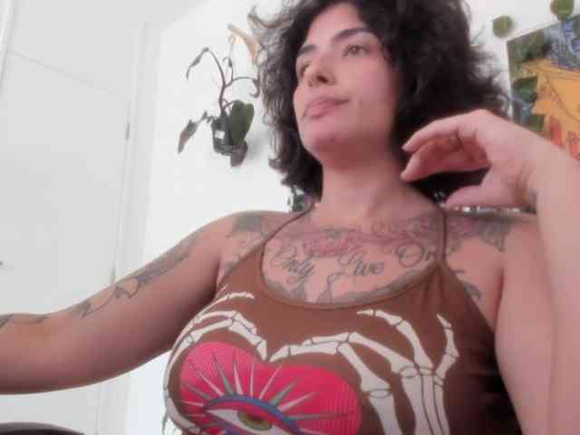 talimajesty webcam