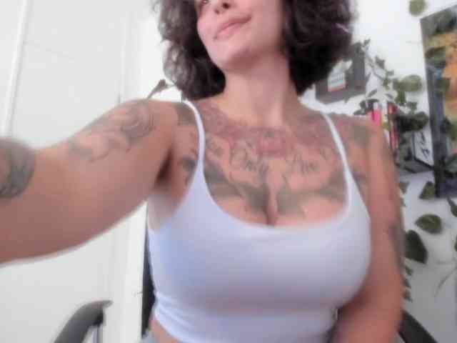 talimajesty webcam