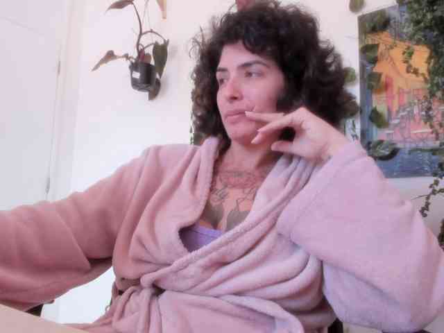 talimajesty webcam
