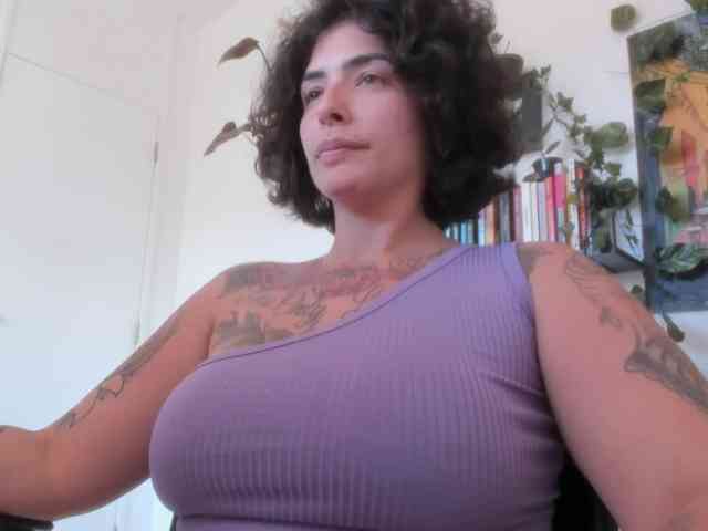 talimajesty webcam