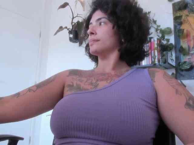 talimajesty webcam
