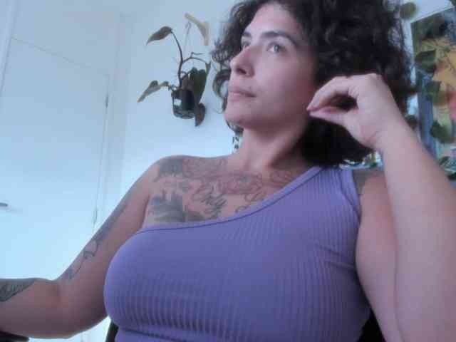 talimajesty webcam