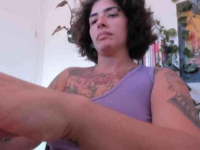 talimajesty webcam