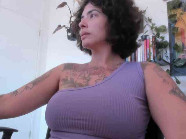 talimajesty webcam