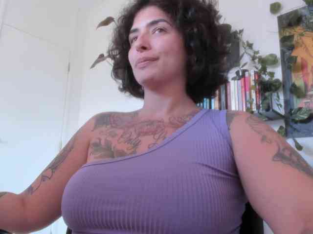 talimajesty webcam