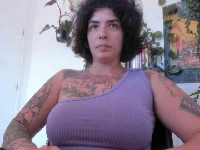 talimajesty webcam