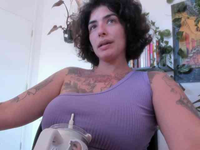 talimajesty webcam