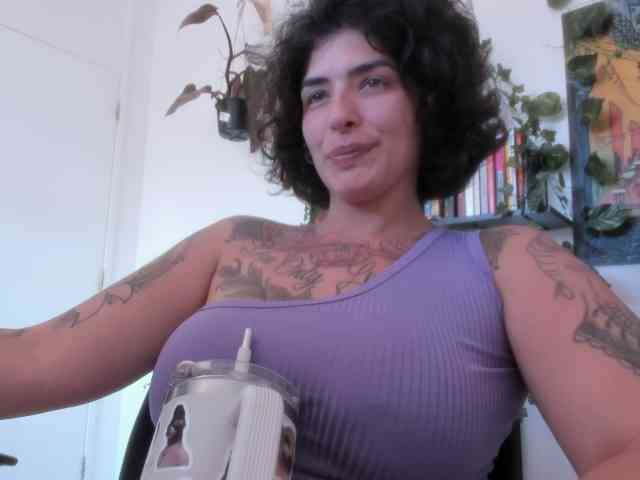 talimajesty webcam