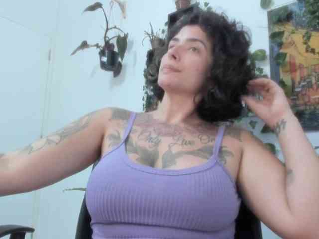 talimajesty webcam