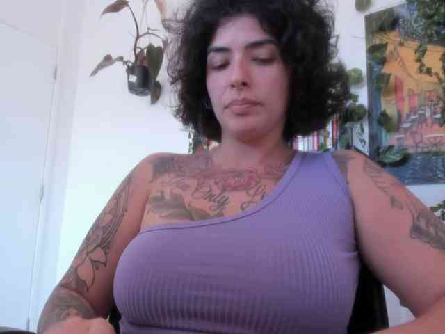 talimajesty webcam
