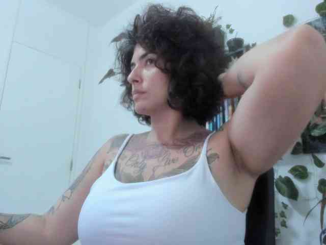 talimajesty webcam