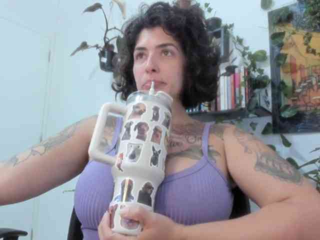 talimajesty webcam