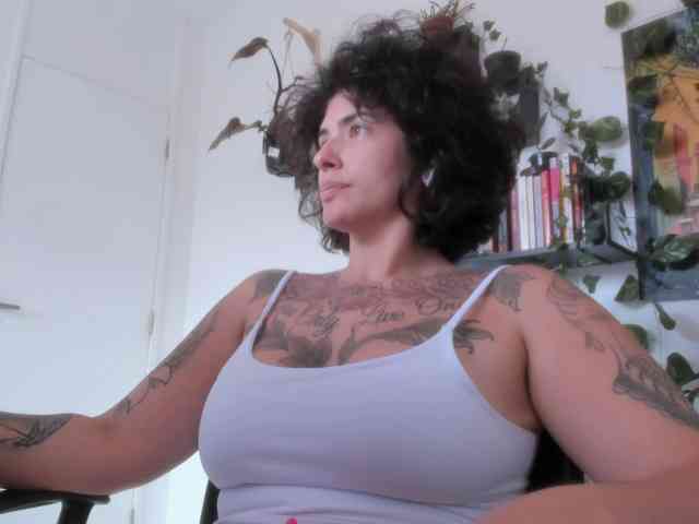 talimajesty webcam