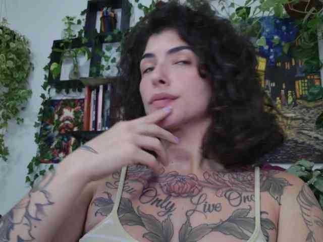 talimajesty webcam