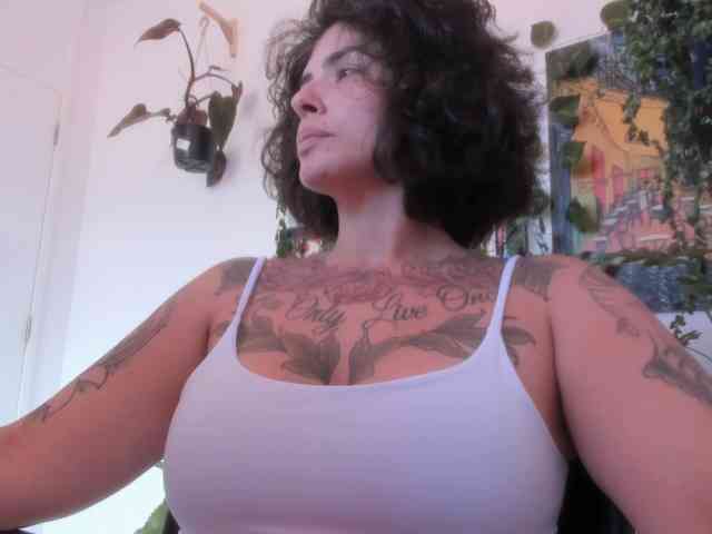talimajesty webcam