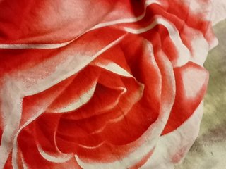 Yna-and-Yn Porn Show