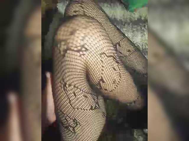 Yna-and-Yn
