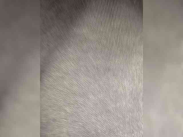 Yna-and-Yn Live Webcam on BongaCams