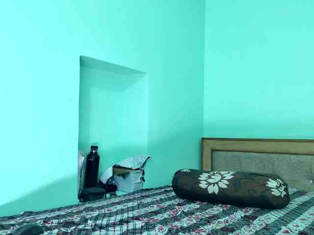 Maxroyaura Maxroyaura