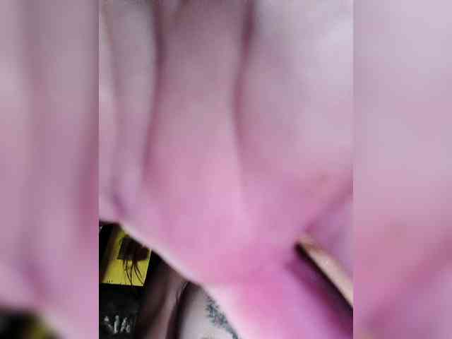 lovesexmeow webcam