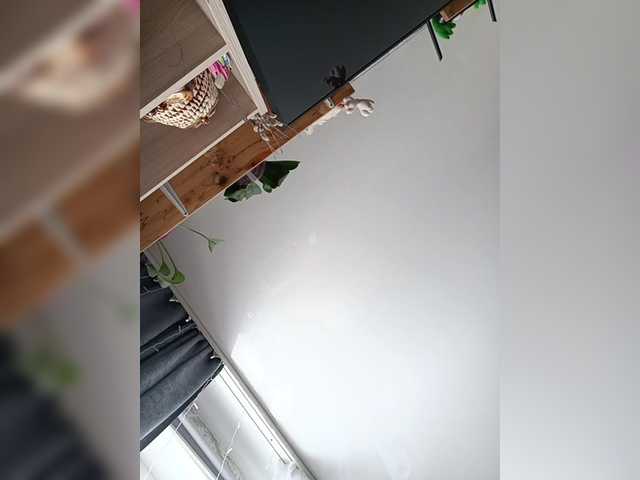 Aleksandra1514 Live Cam on BongaCams