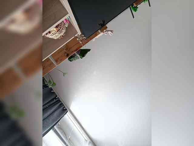 Aleksandra1514 webcam