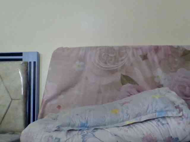 staria-luxe webcam