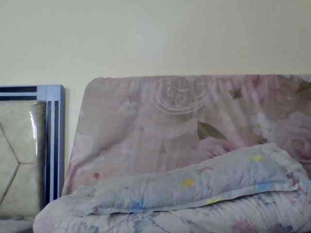 staria-luxe webcam