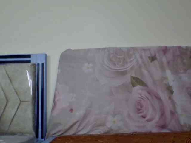 staria-luxe webcam