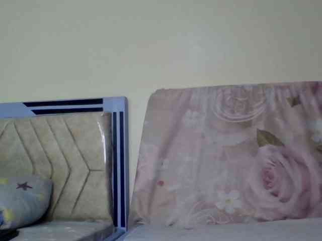 staria-luxe webcam