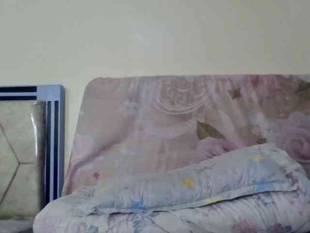 staria-luxe webcam