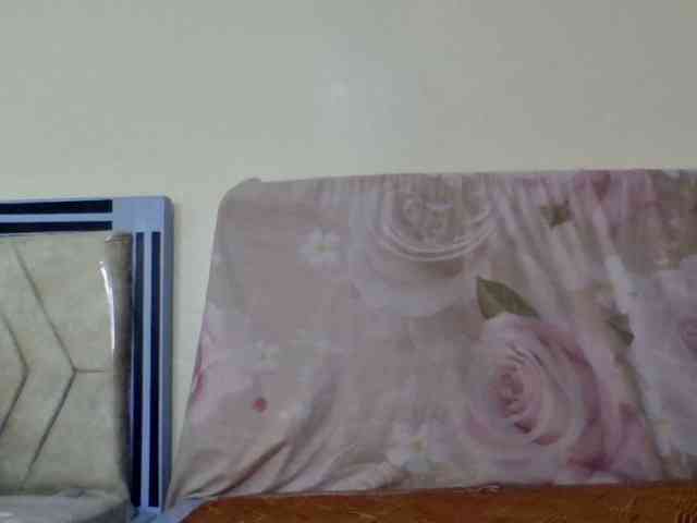 staria-luxe webcam