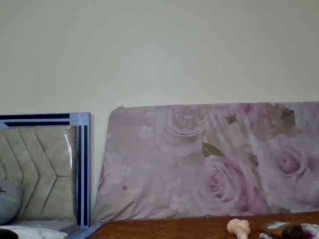 staria-luxe webcam
